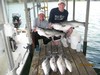 (05/12/2018) - Nice Striped Bass